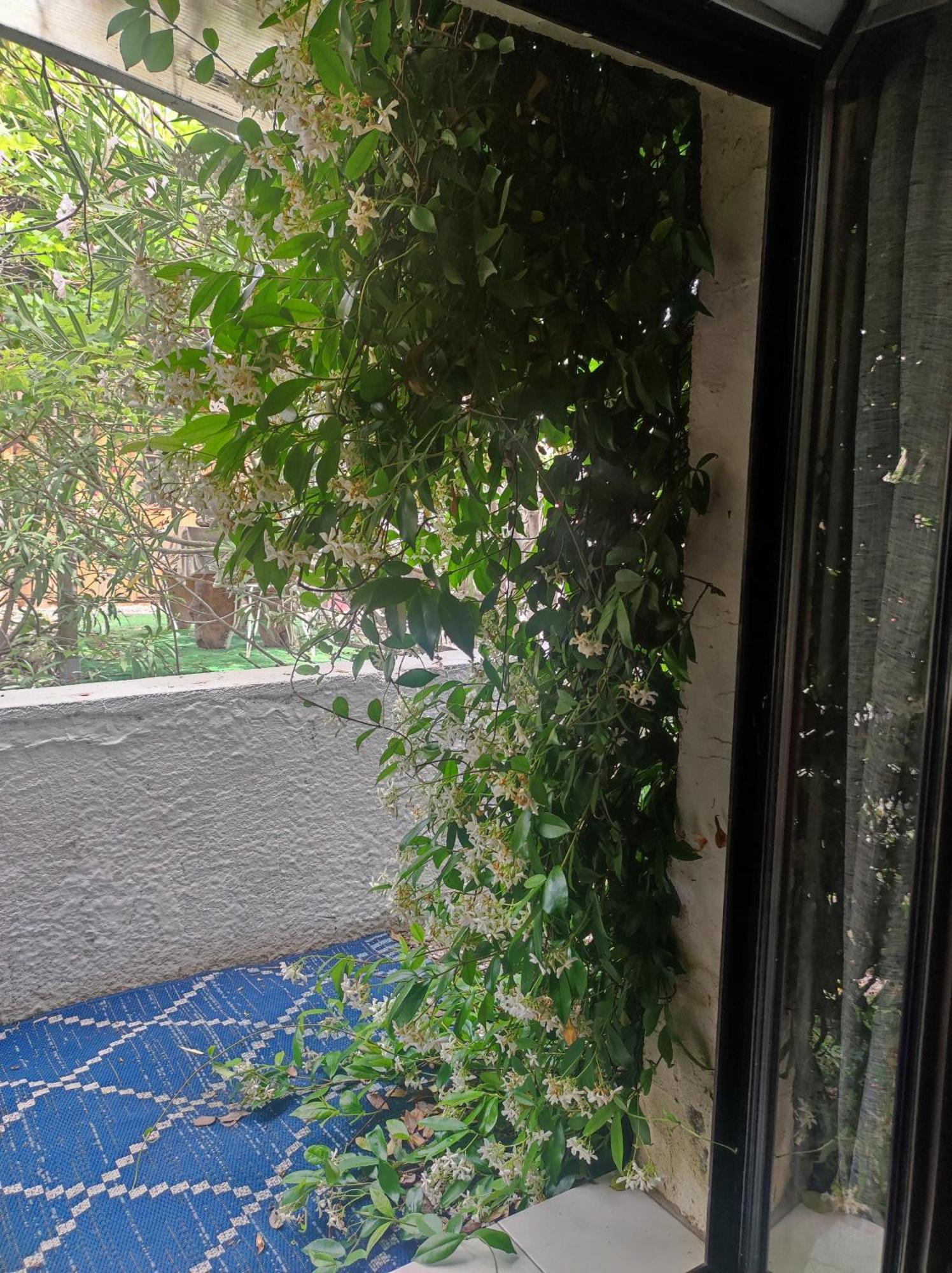 Apartmán Ingrid Mary Nîmes Pokoj fotografie